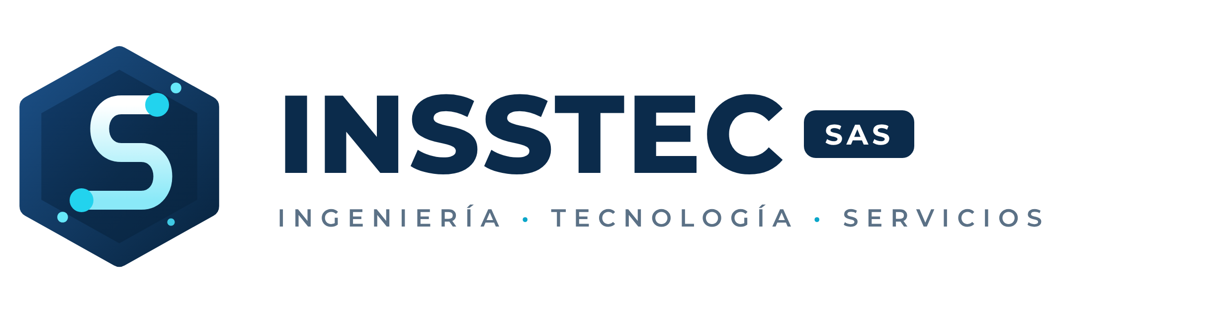 INSSTEC SAS — Logo